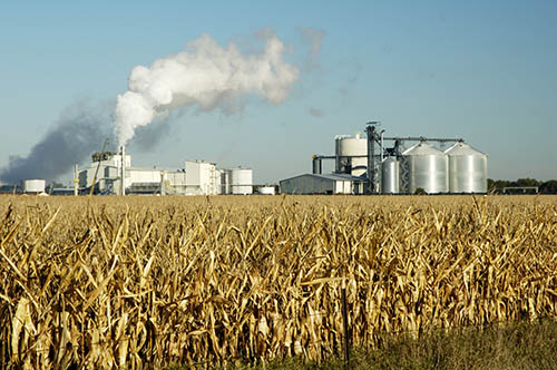 Ethanol Industry Distillers Grains